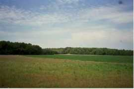 kennedyrealestateofillinois.com Foste