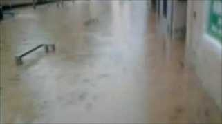 news.bbc.co.uk Foulan