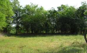 Fouracres