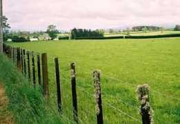 jackwebster.com Foxton