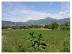 Franciacorta