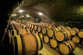 wineterroirs.com Frantin
