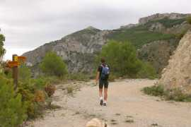topwalks.net Freginals