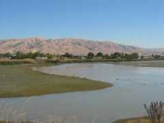 rentalcarmomma.com Fremont