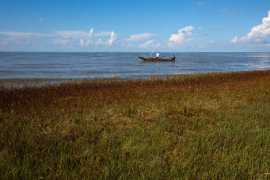 washingtonpost.com Frielich