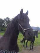 bledyafati.estranky.cz Frisan