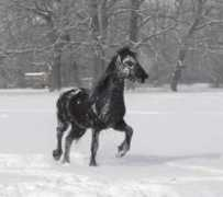 bledyafati.estranky.cz Frisan