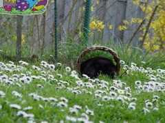 ruecker-web.de Frisette