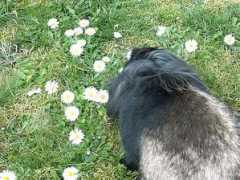 ruecker-web.de Frisette