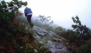 mcfarren.info Frissel