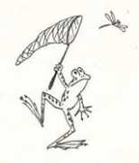 Frognet