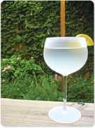 shelterrific.com Frosy