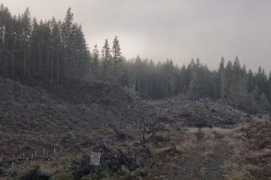 johnharveyphoto.com Frosy