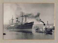 nelsontugboat.co.uk Fulwell