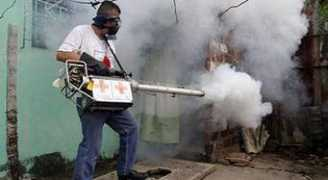 entornointeligente.com Fumigacion