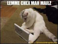 innocentenglish.com Funnt