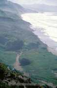 Funston