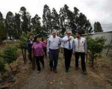 entornointeligente.com Furche