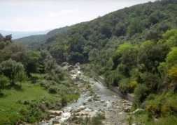 dipbot.unict.it Furiano