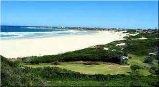 stfrancisbay.com Futeran