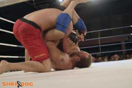 sherdog.com Gabourie