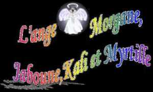 morgane.jaboune.free.fr Gagane