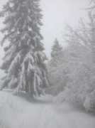 leblogdolif.com Gahier