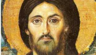 descopera.ro Gaitanaru