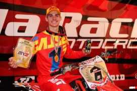 Gajser