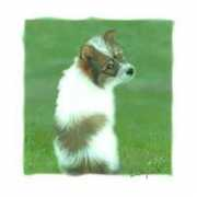 geocities.co.jp Gajun