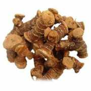 Galangal
