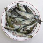 Galicia