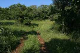 panoramio.com Galili