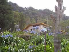 noticias24.com Galipa