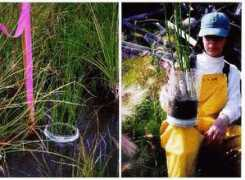 technology.infomine.com Galk