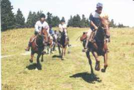 hackamore.free.fr Galot