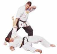 karateblogger.com Gamae