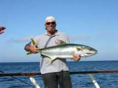 sportfishingreport.com Gambarana