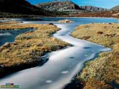 forums.graaam.com Ganaiem