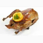 Gans
