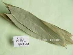 agro-china.com Ganye