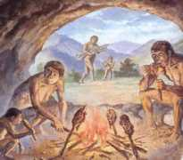 Homoerectus