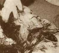 algerie-francaise.org Honaine