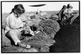 dbacon.igc.org Honorina