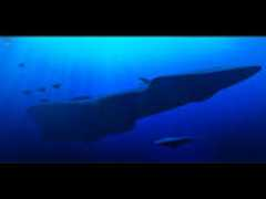 atlantisdsv.newcapequest.com Honorious