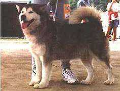 pdg.sla-w.com Horence