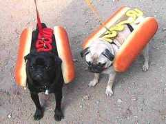 Hotdogs
