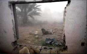 notmytribe.com Howabout