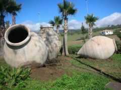 pedroximenez.com Hueros