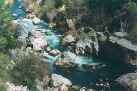 fotonatura.org Hundido